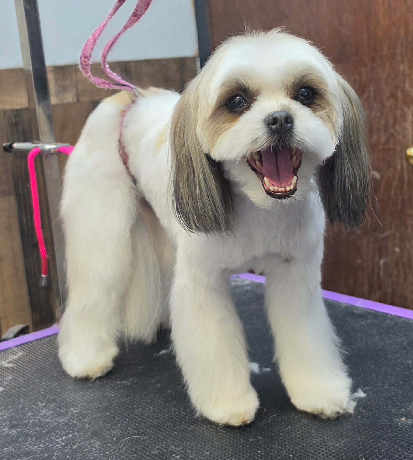 Big smile, fresh trim