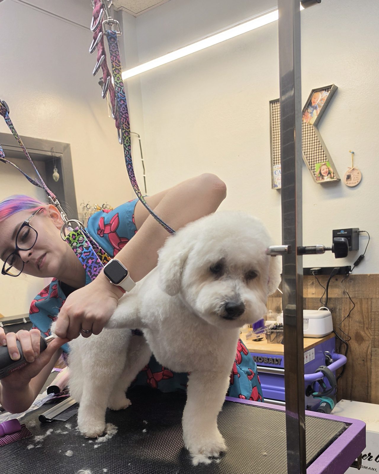 Gentle hands, calm pup